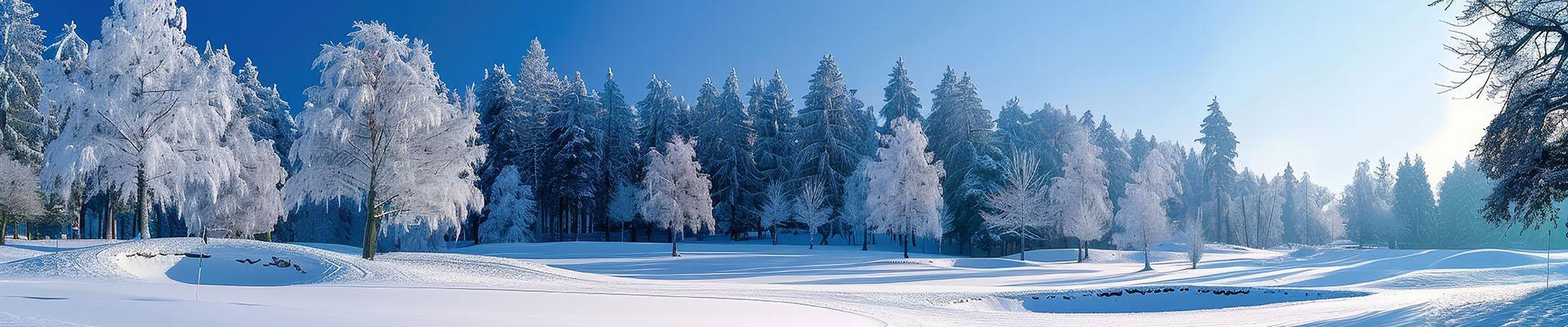 winter-image